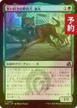 [FOIL] 争い好きの野良犬、義丸/Yoshimaru, Scrappy Stray 【日本語版】 [FRA-緑U] (予約I)