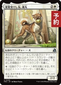 画像1: 寵愛受けし友、義丸/Yoshimaru, Beloved Companion 【日本語版】 [FRA-白U] (予約H)