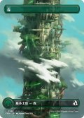 森/Forest No.395 (全面アート版) 【日本語版】 [FRA-土地C]