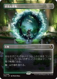 草茂る農地/Overgrown Farmland (全面アート版) 【日本語版】 [FRA-土地R]