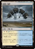 渦巻く海岸/Turbulent Shore 【日本語版】 [FRC-土地R]