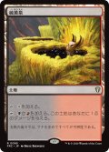 硫黄泉/Sulfurous Springs 【日本語版】 [FRC-土地R]