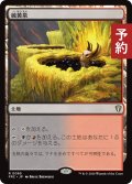 硫黄泉/Sulfurous Springs 【日本語版】 [FRC-土地R] (予約I)