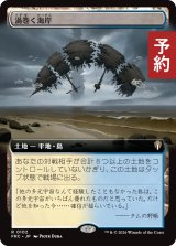 渦巻く海岸/Turbulent Shore (拡張アート版) 【日本語版】 [FRC-土地R] (予約I)