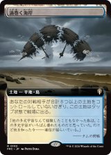 渦巻く海岸/Turbulent Shore (拡張アート版) 【日本語版】 [FRC-土地R]