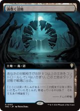 渦巻く沼地/Turbulent Wetlands (拡張アート版) 【日本語版】 [FRC-土地R]