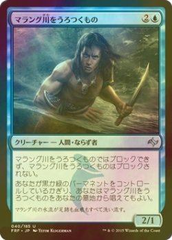 画像1: [FOIL] マラング川をうろつくもの/Marang River Prowler 【日本語版】 [FRF-青U]