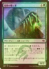 [FOIL] 荒野の囁く者/Whisperer of the Wilds 【日本語版】 [FRF-緑C]