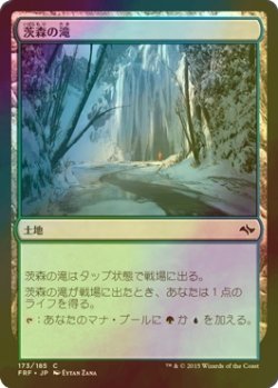 画像1: [FOIL] 茨森の滝/Thornwood Falls 【日本語版】 [FRF-土地C]