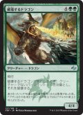 破壊するドラゴン/Destructor Dragon 【日本語版】 [FRF-緑U]