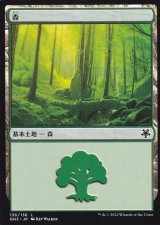 森/Forest No.136 【日本語版】 [GN3-土地C]