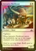 [FOIL] 押し入る荷役獣/Intrusive Packbeast 【英語版】 [GRN-白C]