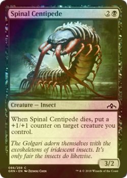画像1: [FOIL] 背骨ムカデ/Spinal Centipede 【英語版】 [GRN-黒C]