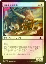 [FOIL] 押し入る荷役獣/Intrusive Packbeast 【日本語版】 [GRN-白C]