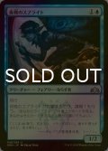 [FOIL] 夜帷のスプライト/Nightveil Sprite 【日本語版】 [GRN-青U]