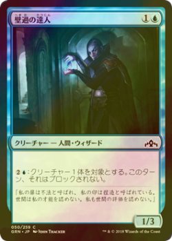 画像1: [FOIL] 壁過の達人/Passwall Adept 【日本語版】 [GRN-青C]