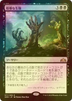 画像1: [FOIL] 陰惨な生類/Gruesome Menagerie 【日本語版】 [GRN-黒R]