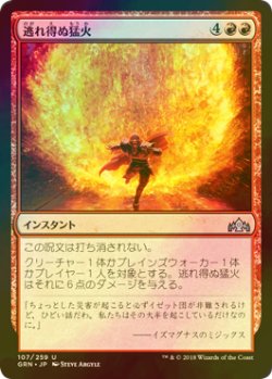 画像1: [FOIL] 逃れ得ぬ猛火/Inescapable Blaze 【日本語版】 [GRN-赤U]