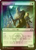 [FOIL] ゴルガリの略奪者/Golgari Raiders 【日本語版】 [GRN-緑U]