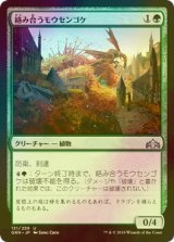 [FOIL] 絡み合うモウセンゴケ/Grappling Sundew 【日本語版】 [GRN-緑U]