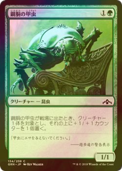 画像1: [FOIL] 鋼胴の甲虫/Ironshell Beetle 【日本語版】 [GRN-緑C]