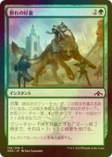 [FOIL] 群れの好意/Pack's Favor 【日本語版】 [GRN-緑C]