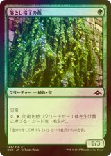 [FOIL] 落とし格子の蔦/Portcullis Vine 【日本語版】 [GRN-緑C]