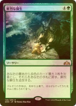 画像1: [FOIL] 鮮烈な蘇生/Vivid Revival 【日本語版】 [GRN-緑R]