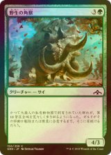 [FOIL] 野生の角獣/Wild Ceratok 【日本語版】 [GRN-緑C]