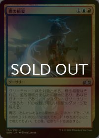 [FOIL] 標の稲妻/Beacon Bolt 【日本語版】 [GRN-金U]