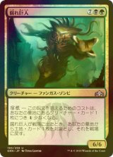 [FOIL] 腐れ巨人/Molderhulk 【日本語版】 [GRN-金U]