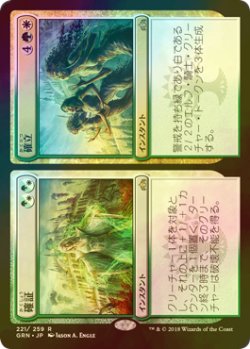 画像1: [FOIL] 確証 & 確立/Assure & Assemble 【日本語版】 [GRN-金R]