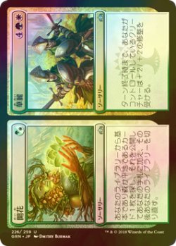 画像1: [FOIL] 開花 + 華麗/Flower + Flourish 【日本語版】 [GRN-金U]