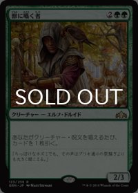獣に囁く者/Beast Whisperer 【日本語版】 [GRN-緑R]