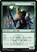 ゴルガリの略奪者/Golgari Raiders 【日本語版】 [GRN-緑U]