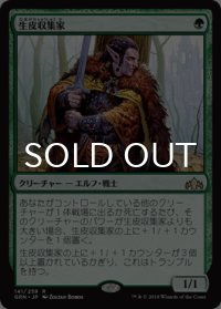 生皮収集家/Pelt Collector 【日本語版】 [GRN-緑R]