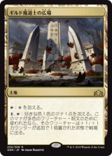 ギルド魔道士の広場/Guildmages' Forum 【日本語版】 [GRN-土地R]