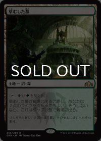 草むした墓/Overgrown Tomb 【日本語版】 [GRN-土地R]