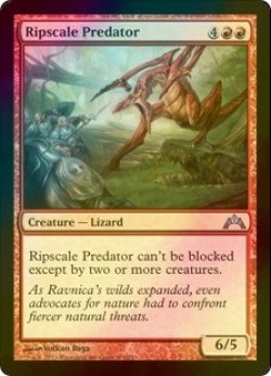 画像1: [FOIL] 鱗剥ぎの捕食者/Ripscale Predator 【英語版】 [GTC-赤U]