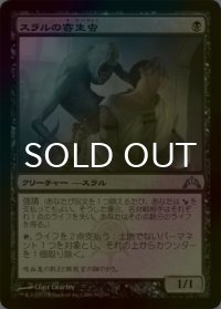[FOIL] スラルの寄生虫/Thrull Parasite 【日本語版】 [GTC-黒U]