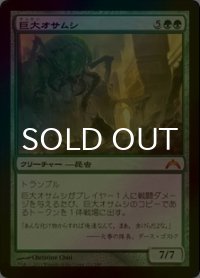 [FOIL] 巨大オサムシ/Giant Adephage 【日本語版】 [GTC-緑MR]