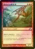 [FOIL] 鱗剥ぎの捕食者/Ripscale Predator 【日本語版】 [GTC-赤U]