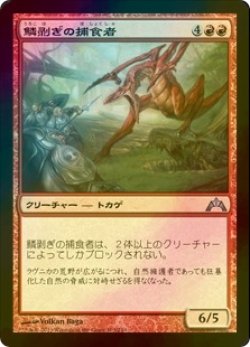 画像1: [FOIL] 鱗剥ぎの捕食者/Ripscale Predator 【日本語版】 [GTC-赤U]