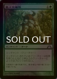 [FOIL] 最上位権限/Alpha Authority 【日本語版】 [GTC-緑U]