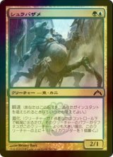 [FOIL] シュラバザメ/Shambleshark 【日本語版】 [GTC-金C]