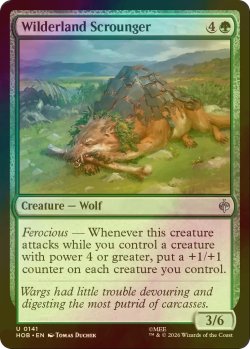 画像1: [FOIL] 荒れ地の国のたかり屋/Wilderland Scrounger 【英語版】 [HOB-緑U]
