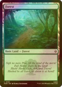 [FOIL] 森/Forest 【英語版】 [HOB-土地C]