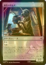 [FOIL] 胴長の灰色犬/Long-Bodied Grey Dog 【日本語版】 [HOB-無C]