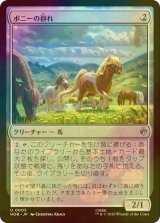 [FOIL] ポニーの群れ/Troop of Ponies 【日本語版】 [HOB-無U]