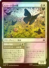 [FOIL] ビロード羽の蝶/Velvetwing Butterflies 【日本語版】 [HOB-白C]